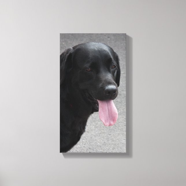 Impressão Em Tela Cachorro negro (Front)
