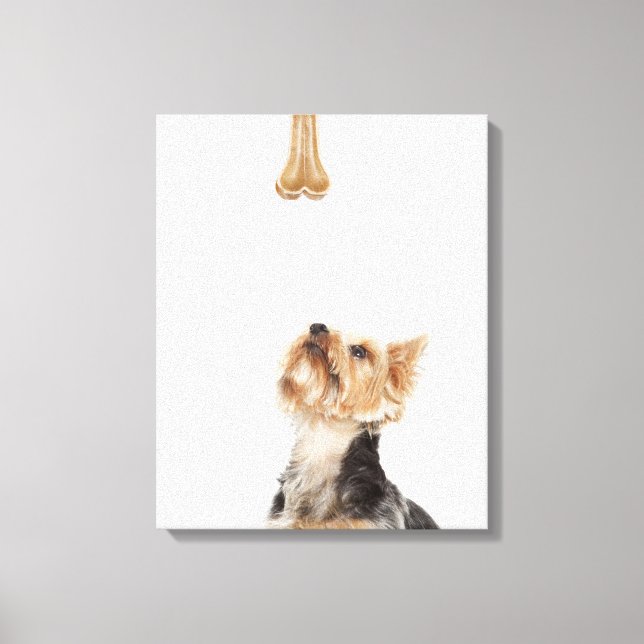 Impressão Em Tela Cachorro olhando para o osso (Frente)