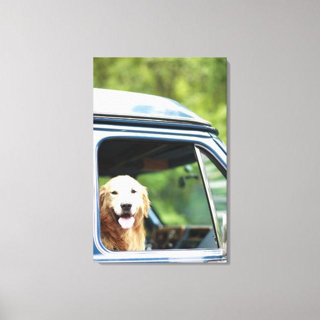 Impressão Em Tela Cachorro sentado no carro (Frente)