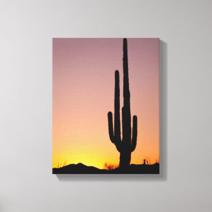 Impressão Em Tela Cacto do Saguaro no por do sol