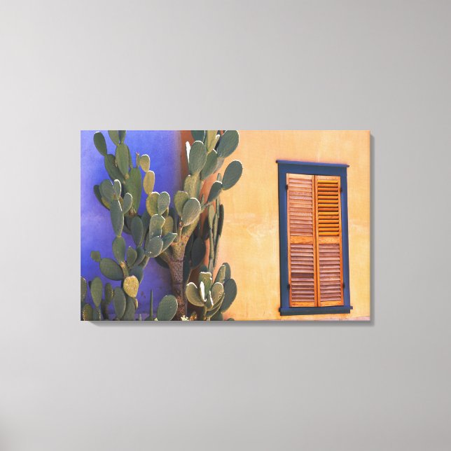 Impressão Em Tela Cacto do sudoeste (Opuntia dejecta) e (Frente)