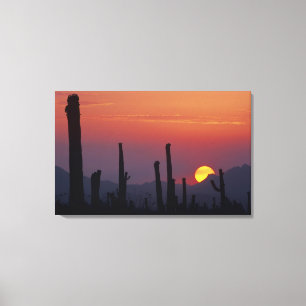 Impressão Em Tela Cacto Saguaro Carnegiea gigantea), Pôr do sol,
