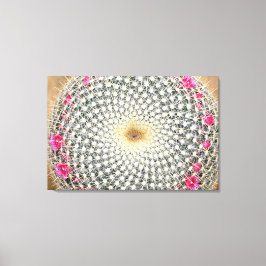 Impressão Em Tela Cacto simétrico em floração (Mammillaria celsiana)