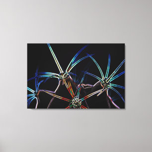 Impressão Em Tela Cactus 1 36x24 (90x60cm) waccn