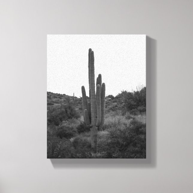 Impressão Em Tela Cactus Preto e Branco Saguaro 8x10 (Frente)
