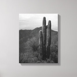 Impressão Em Tela Cactus Saguaro Preto e Branco no Colinas 11x14