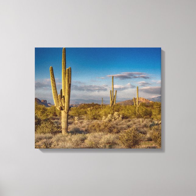 Impressão Em Tela Cactus Sunset na Arizona (Frente)