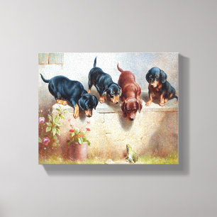 Impressão Em Tela Cães Cachorros Antigos Vintage 