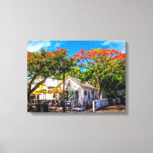 Impressão Em Tela Café de Gato de Seis Toes