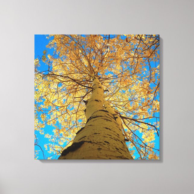 Impressão Em Tela Cai fora, olha para cima! (Frente)