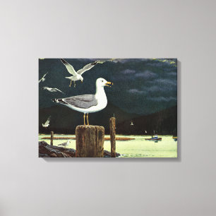 Impressão Em Tela Caivota-Vintage Caivota Pergelada, Aves Marinhas A