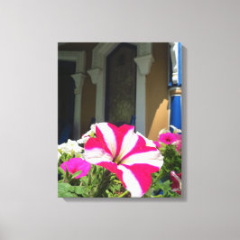 Impressão Em Tela Caixa de Flores de Springtime - Vinha de Martha