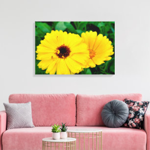 Impressão Em Tela Calendula Officinalis