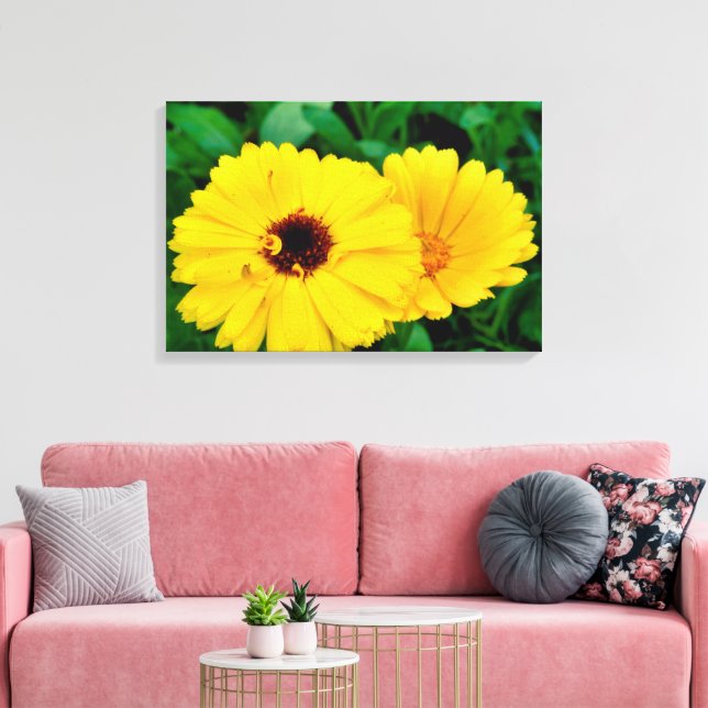 Impressão Em Tela Calendula Officinalis (Insitu(Sala de estar))