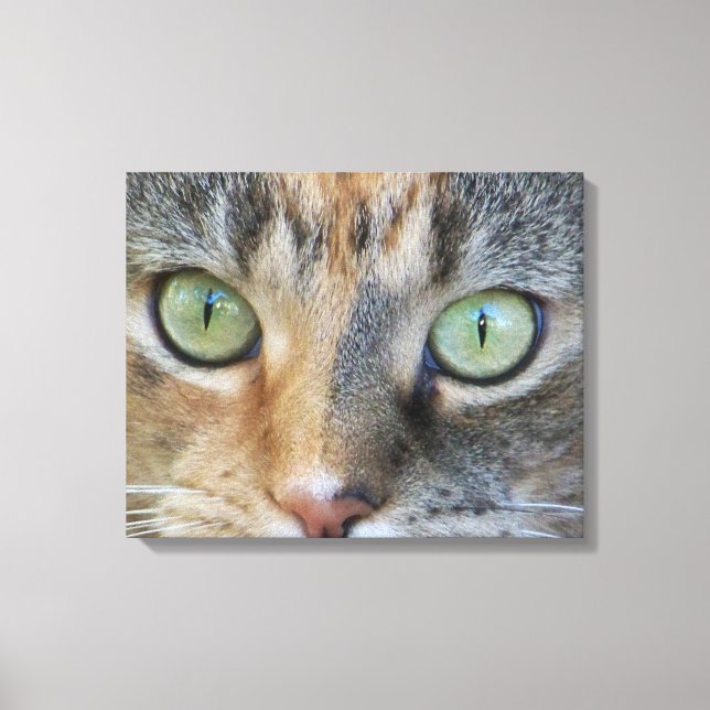 Impressão Em Tela Calico 20" x 16", 1,5", Solteiro (Frente)