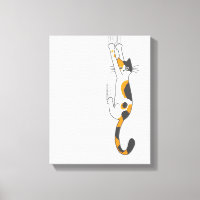 Calico Cat Seguindo | Ferimentos de Cat Lover
