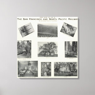 Impressão Em Tela Califórnia 4