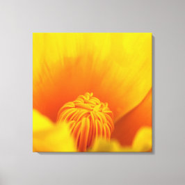 Impressão Em Tela California Poppy