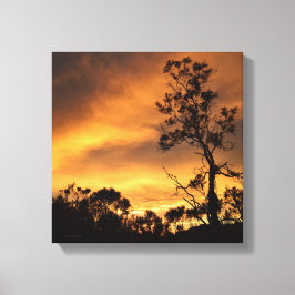 Impressão Em Tela Califórnia Sunset