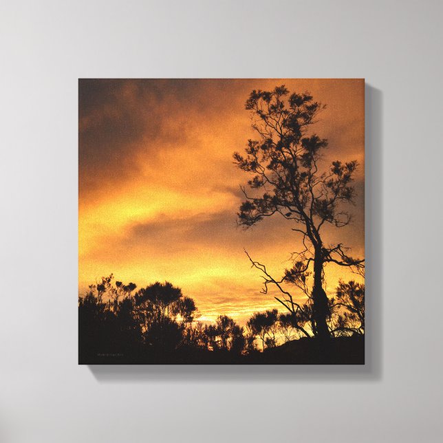 Impressão Em Tela Califórnia Sunset (Frente)