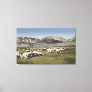 Impressão Em Tela CaliforniaSheep que pasta na serra alta
