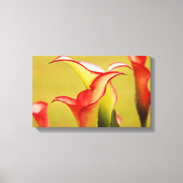 Impressão Em Tela Calla Lily Wall Art (Frente)