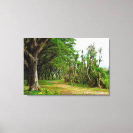 Impressão Em Tela Caminho Arborizado Alamedas Paisagem Fotografia Vi