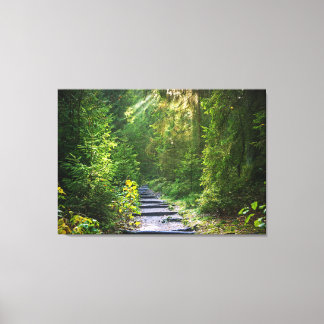 Impressão Em Tela Caminho da Floresta Encantada