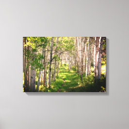 Impressão Em Tela Caminho da floresta no Primavera atrasado