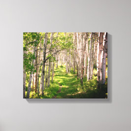 Impressão Em Tela Caminho da floresta no Primavera atrasado
