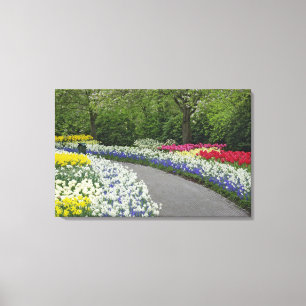 Impressão Em Tela Caminho de calçada através de tulipas e narcisos,
