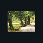 Impressão Em Tela Caminho no País<br><div class="desc">Home Décor</div>