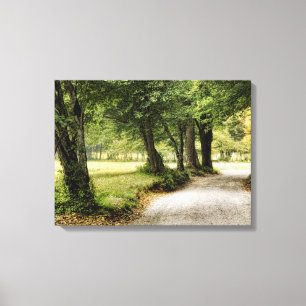 Impressão Em Tela Caminho no País