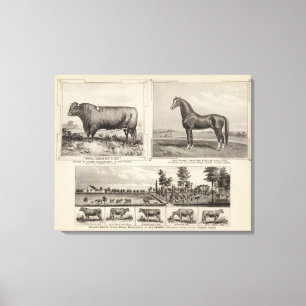 Impressão Em Tela Campeão real, jovem de Joe, Kansas