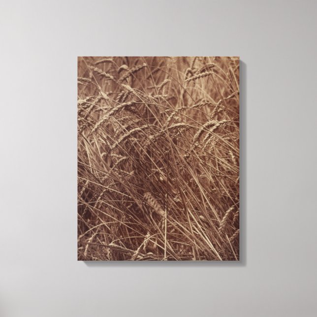 Impressão Em Tela Campo de trigo (por Eugène Atget) (Frente)