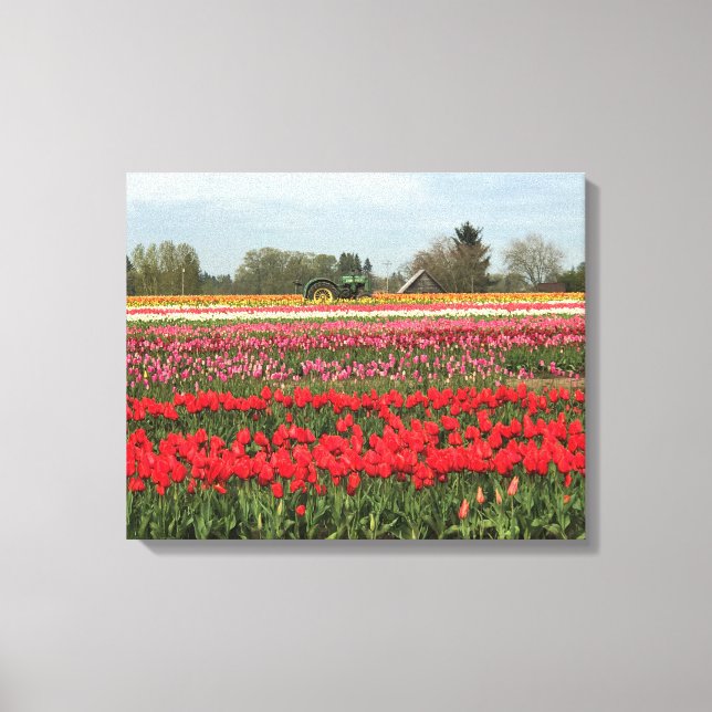 Impressão Em Tela Campo Tulip com Trator e Barn (Frente)