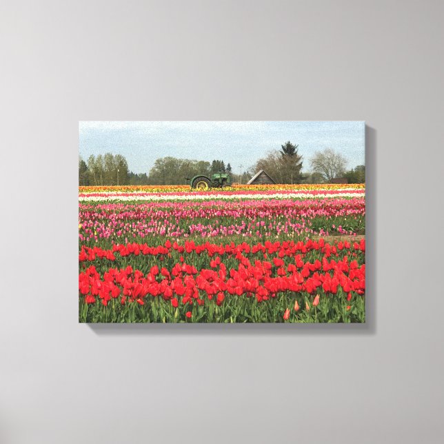 Impressão Em Tela Campo Tulip com Trator e Barn (Frente)
