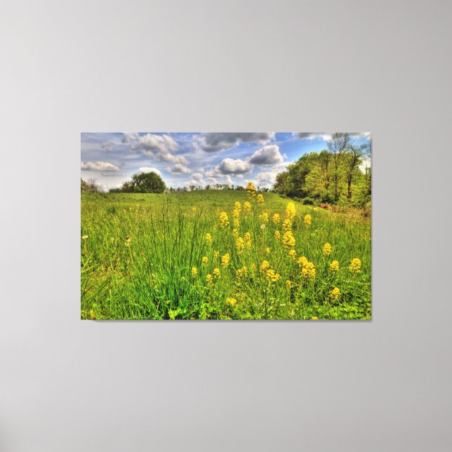 Impressão Em Tela Campo Verde e céu azul nublado (Frente)