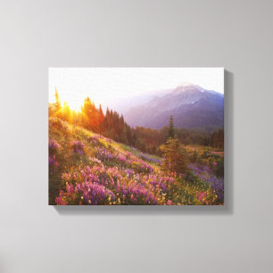 Impressão Em Tela Campos de lupina e Olimpiadas em