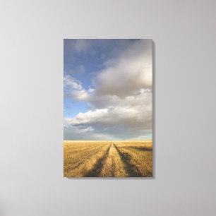 Impressão Em Tela Canadá, Alberta, Afastem-se: Paisagem com