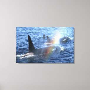 Impressão Em Tela Canadá, Colúmbia Britânica, Hetero Johnstone,