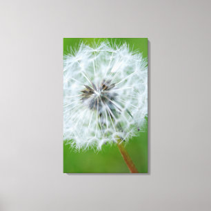 Impressão Em Tela Canadá, Colúmbia Britânica, Ilha de Vancouver 4