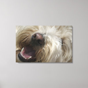 Impressão Em Tela Canadá, Columbia Britânica, Vancôver