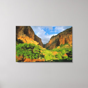 Impressão Em Tela Cânion Kolob no Zion Canyon no Parque Nacional Zio