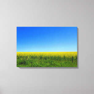 Impressão Em Tela Canola Fields