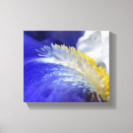 Impressão Em Tela Cantando os Blues!