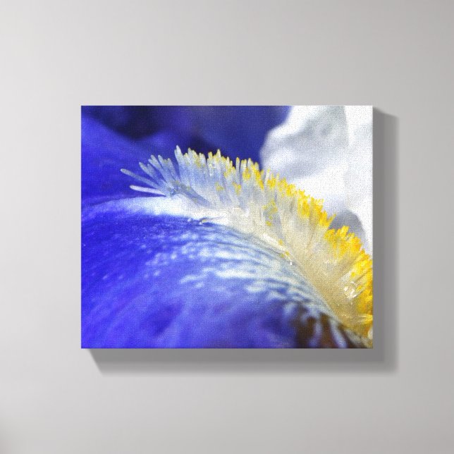 Impressão Em Tela Cantando os Blues! (Frente)