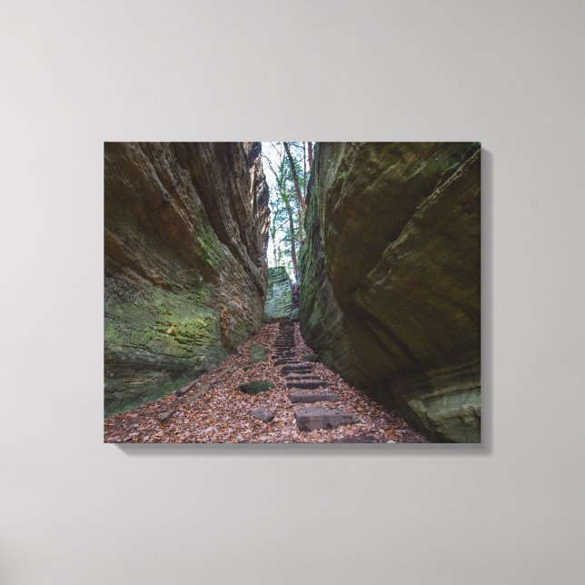 Impressão Em Tela Cantwell Cliffs, Hocking Colinas State Park, Ohio (Frente)
