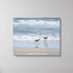 Impressão Em Tela Canvas: Borrelhos na praia - ilha NC de Topsail