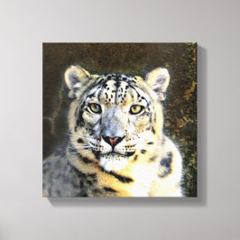 Impressão Em Tela Canvas-leopardo-da-neve